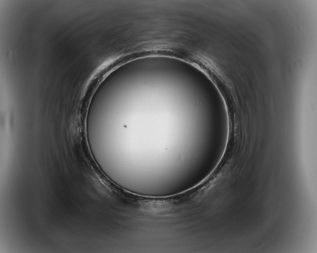 X0000085001164200703121454