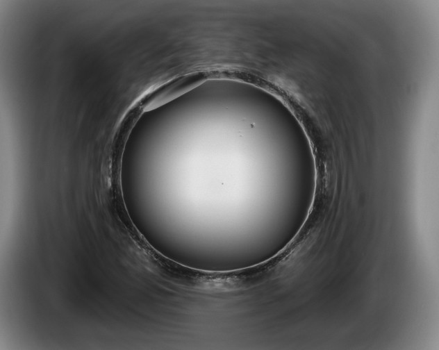 X0000085001165200703121454