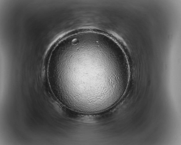 X0000085001167200703121454