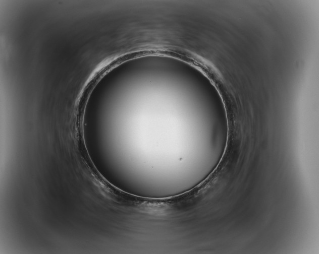 X0000085001168200703121454