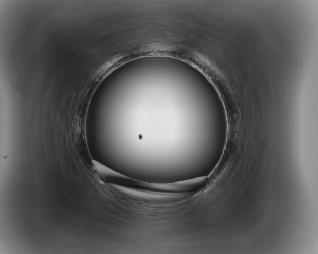 X0000085001169200703121454