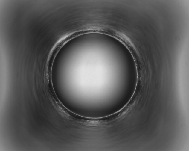 X0000085001172200703121454