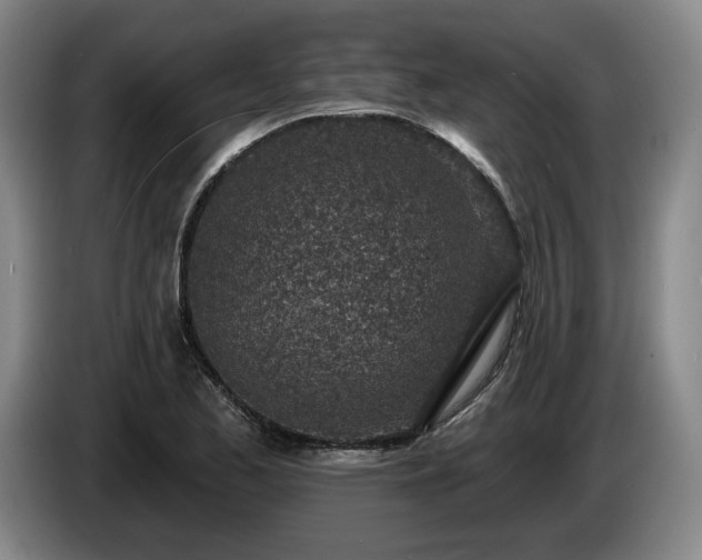 X0000085001173200703121454