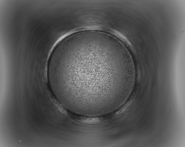 X0000085001174200703121454