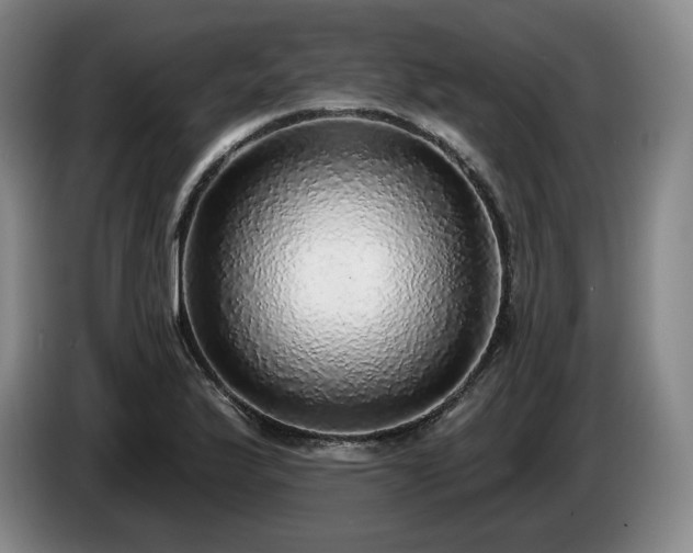 X0000085001175200703121454