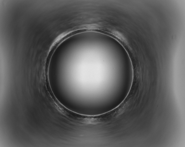 X0000085001176200703121454