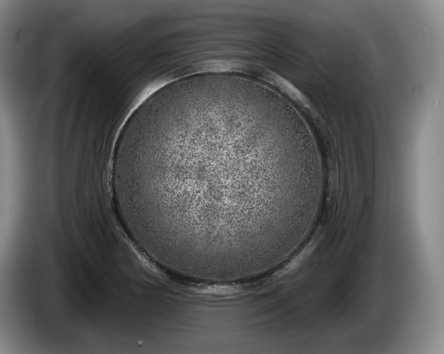 X0000085001178200703121454