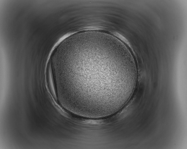 X0000085001179200703121454