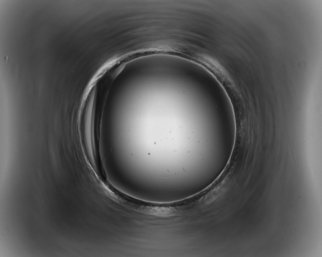 X0000085001180200703121454