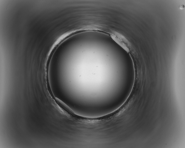 X0000085001184200703121454