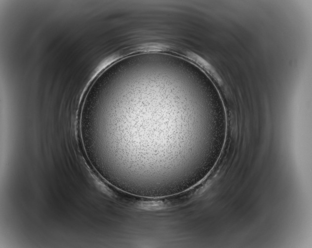 X0000085001186200703121454