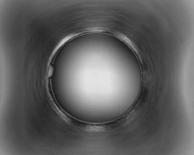 X0000085001187200703121454