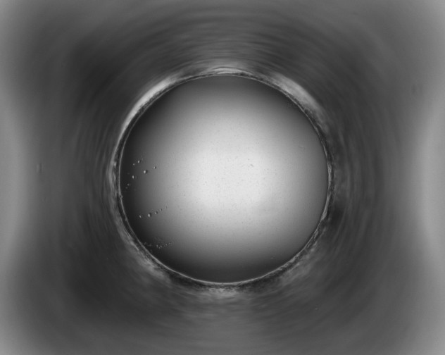 X0000085001190200703121454