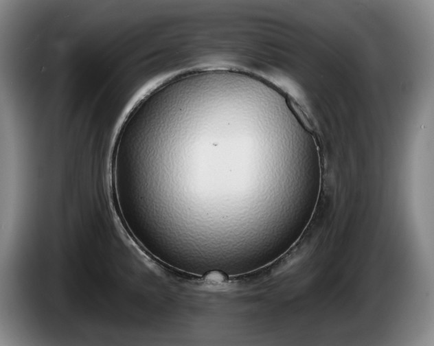 X0000085001191200703121454