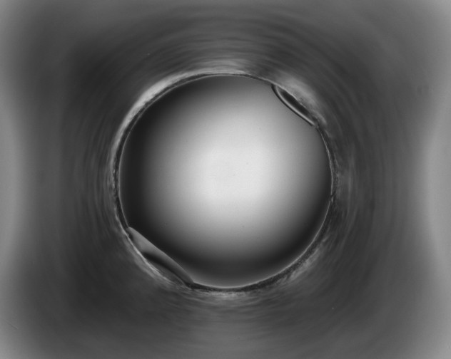 X0000085001192200703121454