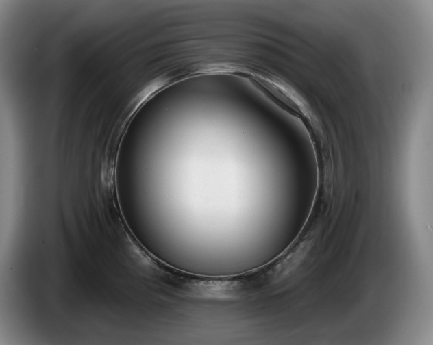 X0000085001193200703121454