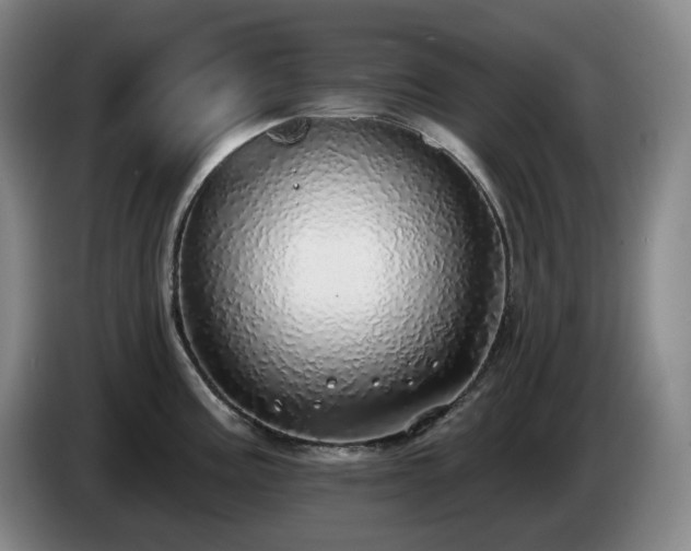 X0000085001195200703121454