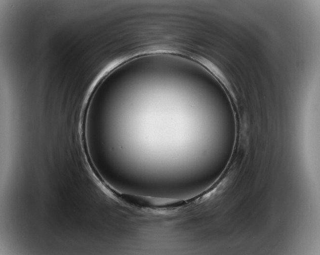 X0000085001197200703121454