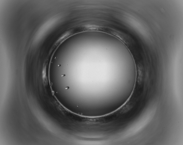 X0000085001198200703121454