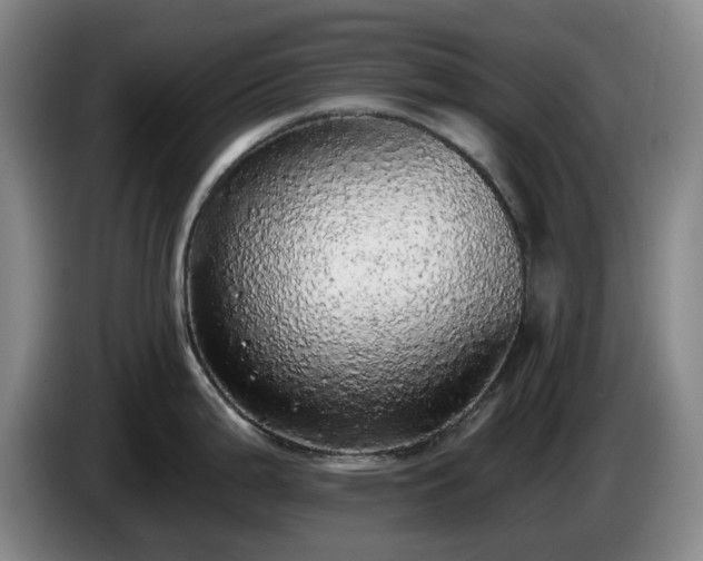 X0000085001199200703121454