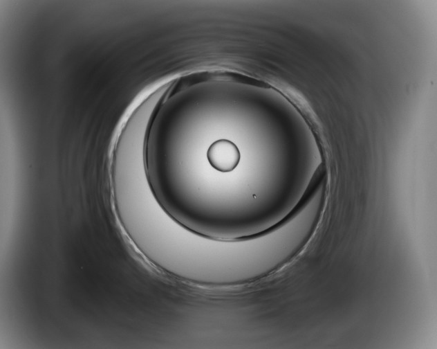 X0000085001200200703121454