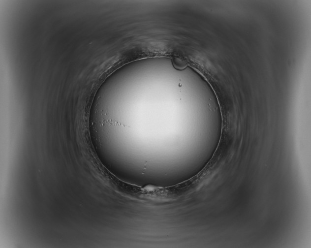 X0000085001201200703121453