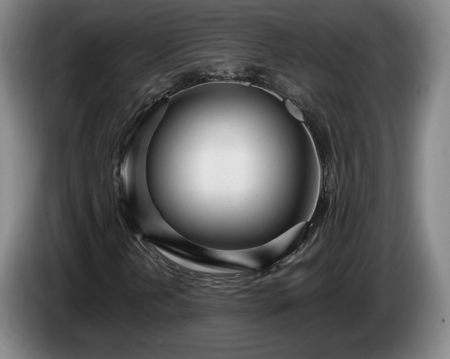 X0000085001202200703121453