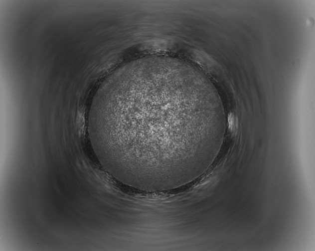 X0000085001203200703121453