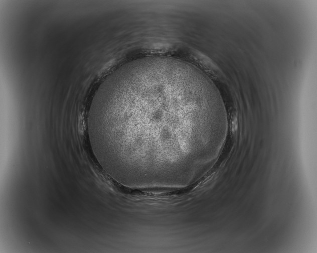 X0000085001204200703121453