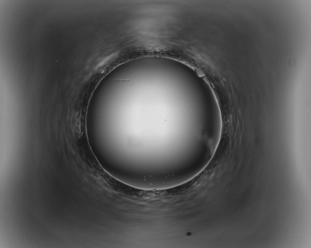 X0000085001205200703121453