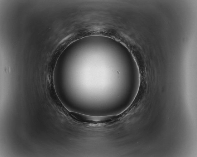 X0000085001206200703121453