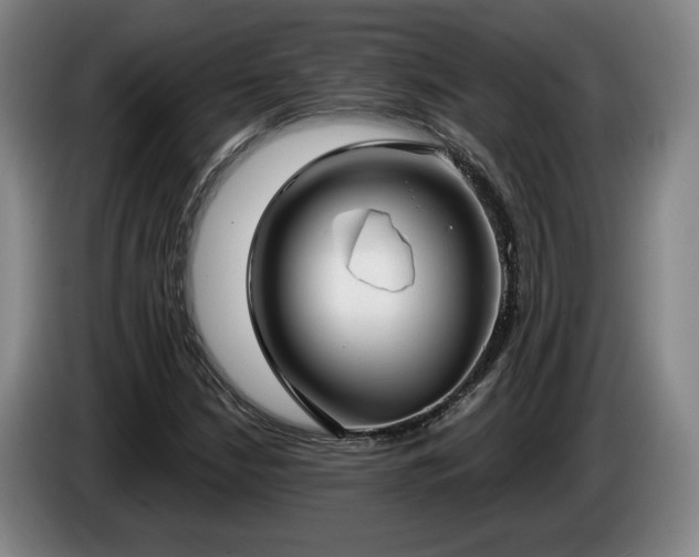 X0000085001210200703121453