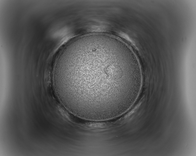 X0000085001211200703121453