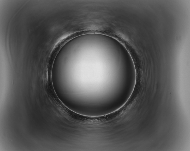 X0000085001214200703121453