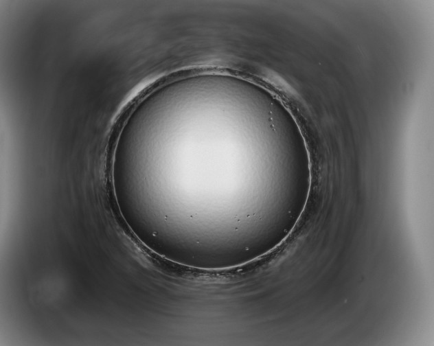 X0000085001216200703121453