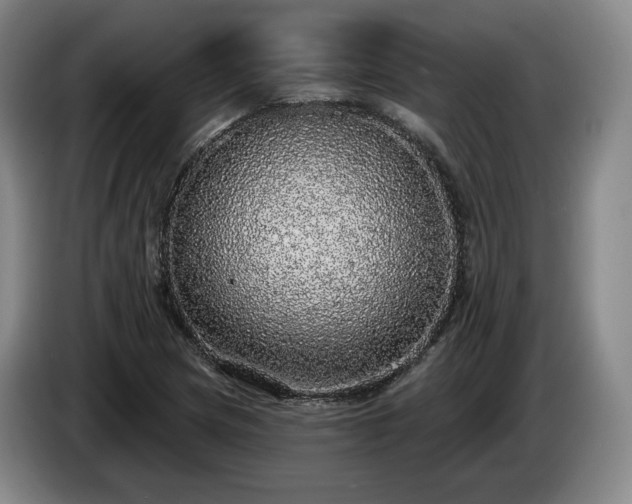 X0000085001217200703121453