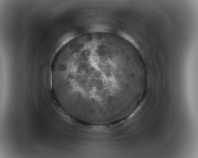 X0000085001219200703121453