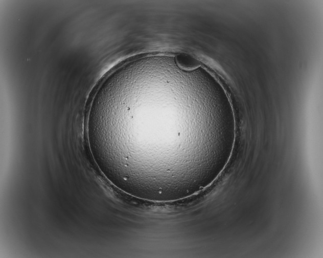 X0000085001220200703121453