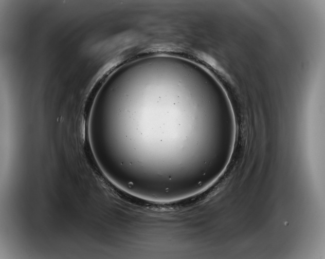 X0000085001221200703121453