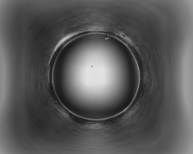 X0000085001222200703121453