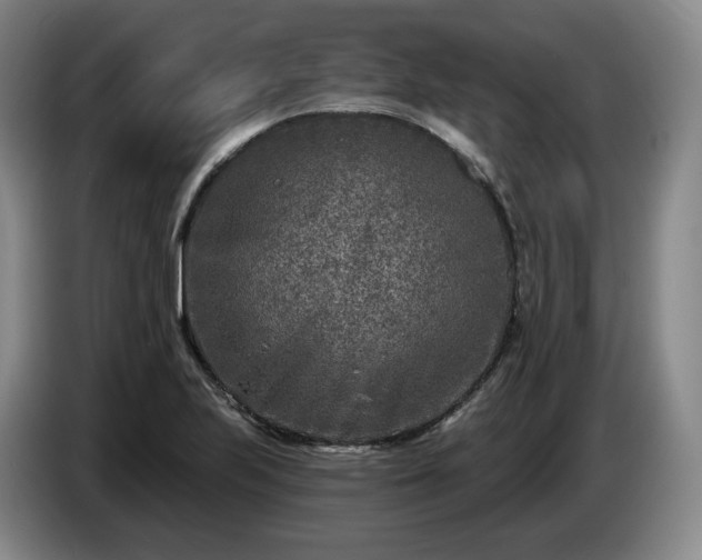 X0000085001223200703121453