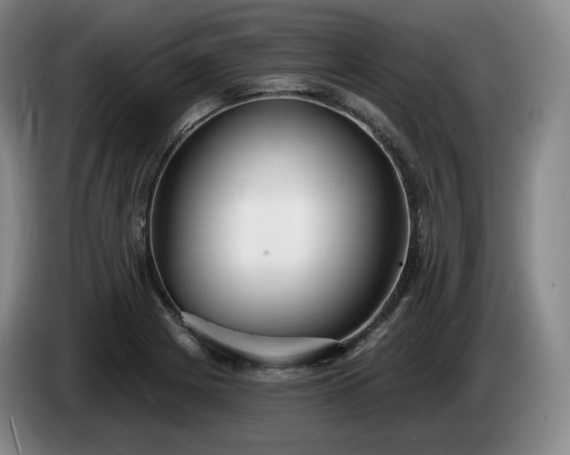 X0000085001225200703121453