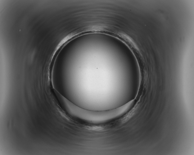 X0000085001226200703121453