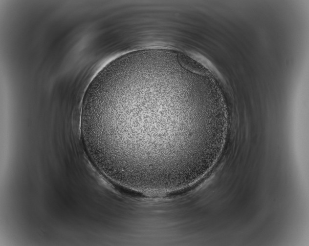 X0000085001228200703121453