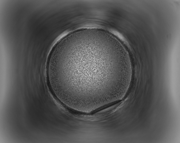 X0000085001229200703121453