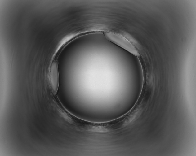 X0000085001230200703121453