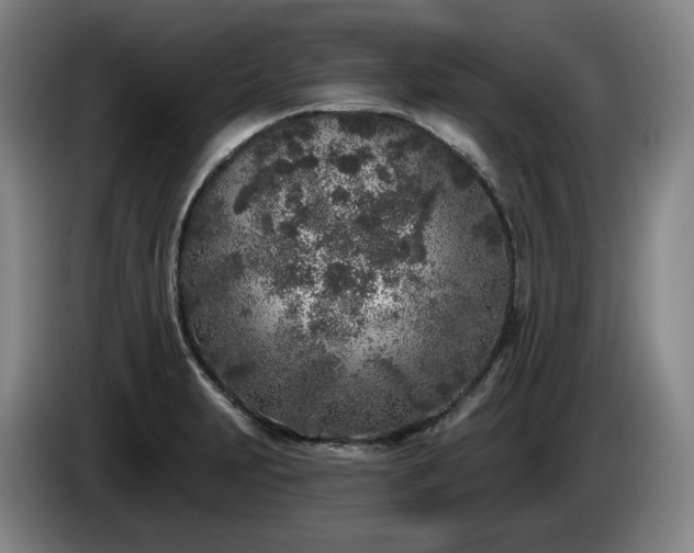 X0000085001231200703121453