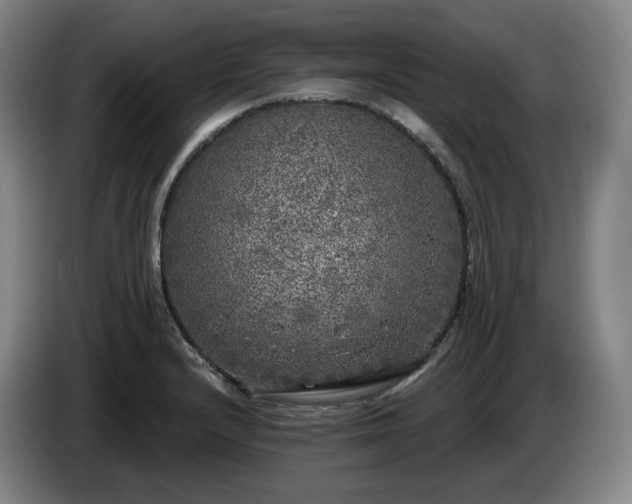 X0000085001232200703121453