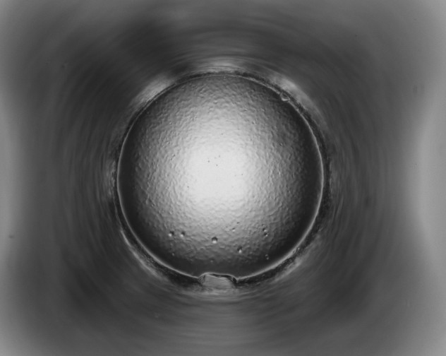 X0000085001233200703121453