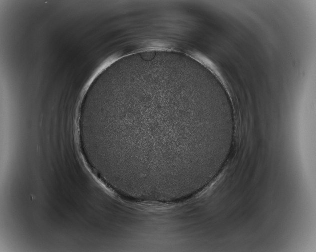 X0000085001235200703121453